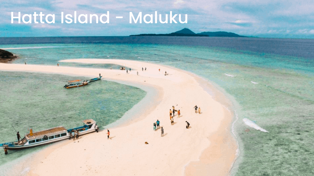 17_11_11zon 17_11_11zon